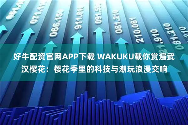 好牛配资官网APP下载 WAKUKU载你赏遍武汉樱花：樱花季里的科技与潮玩浪漫交响