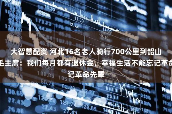 大智慧配资 河北16名老人骑行700公里到韶山缅怀毛主席：我们每月都有退休金，幸福生活不能忘记革命先辈