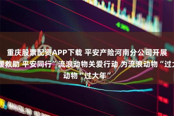 重庆股票配资APP下载 平安产险河南分公司开展“温暖救助 平安同行”流浪动物关爱行动 为流浪动物“过大年”
