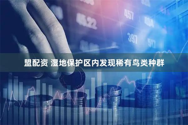 盟配资 湿地保护区内发现稀有鸟类种群