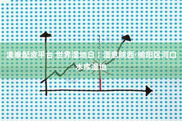 漢崋配资平台 世界湿地日｜湿意陕西·榆阳区河口水库湿地